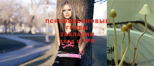 трава Лагань