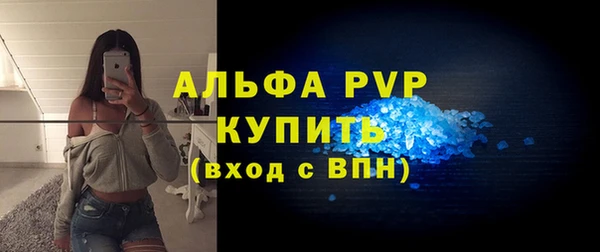 стафф Ладушкин