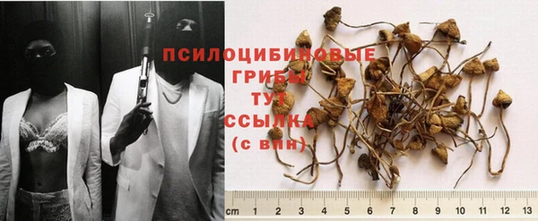 прущая мука Лихославль