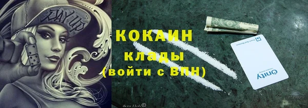 стафф Ладушкин