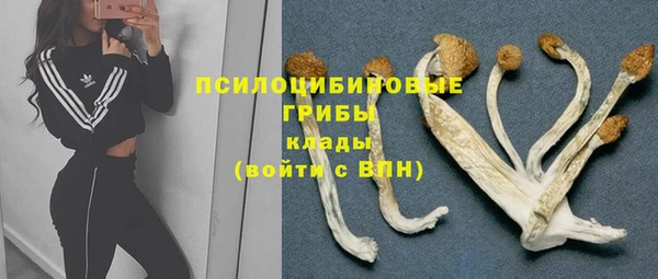 трава Лагань