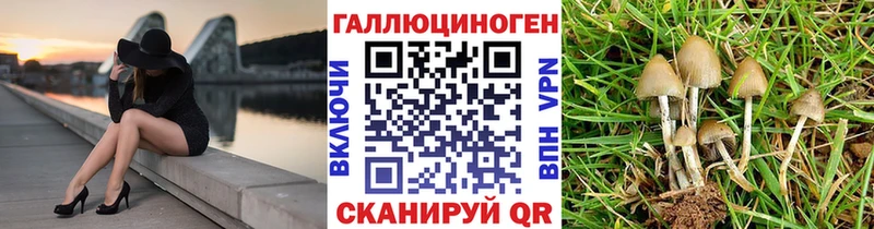 сайты даркнета Telegram  Новомосковск  Галлюциногенные грибы мицелий  купить наркотик 