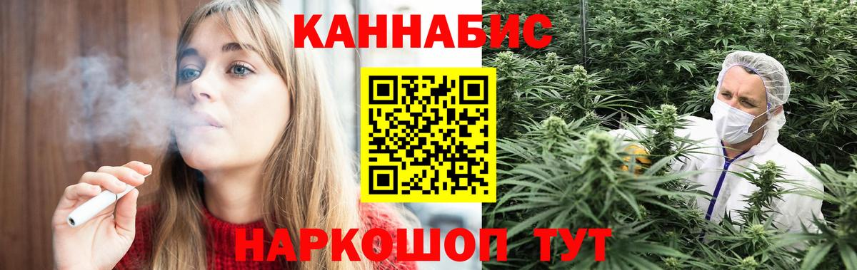 Каннабис OG Kush Новомосковск